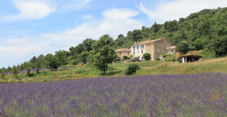 Domaine De Bertrandy Bed and Breakfast Allemagne-en-Provence Εξωτερικό φωτογραφία